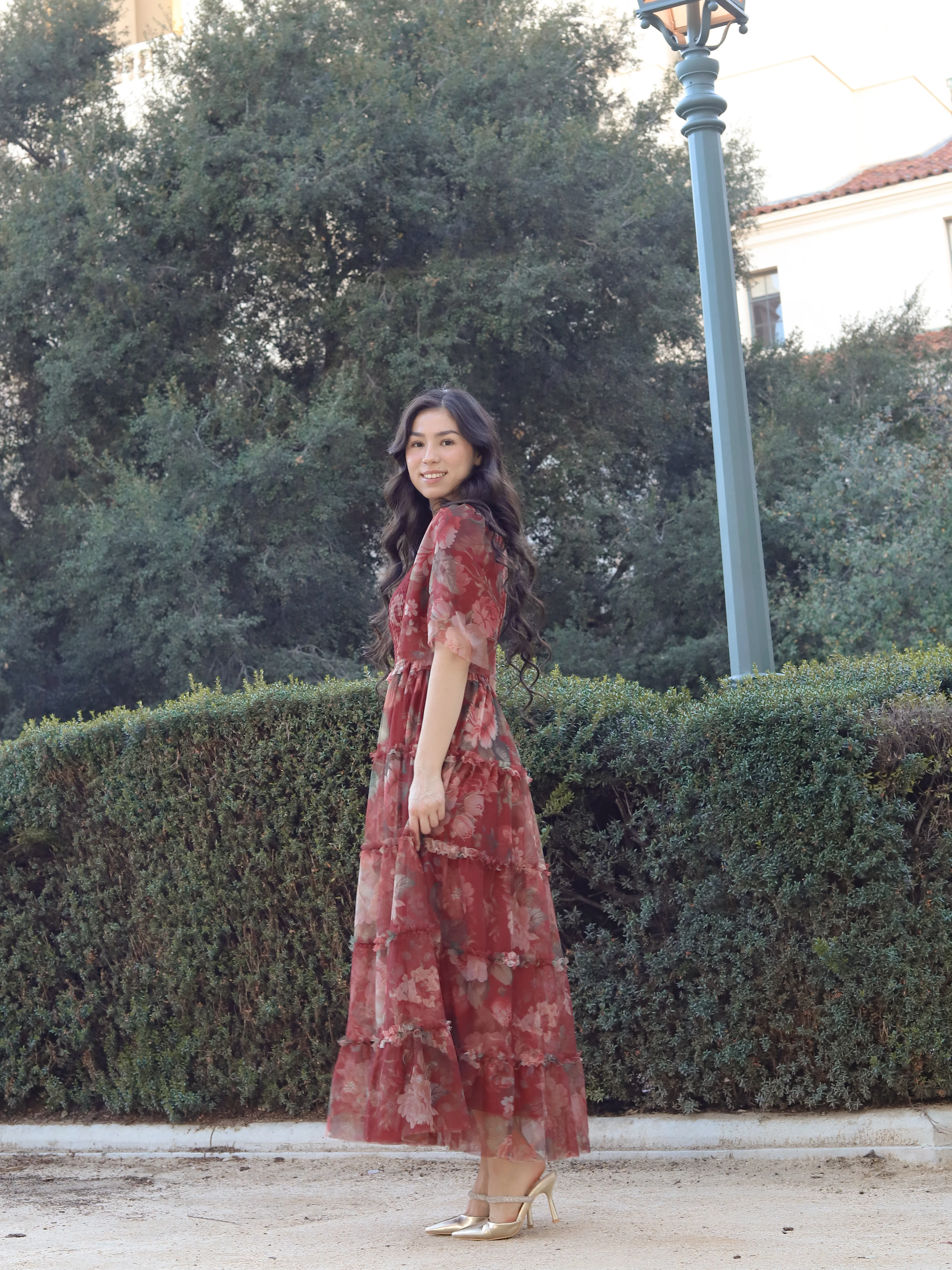 Vintage Romance Dress - Crimson Rose - Image 3