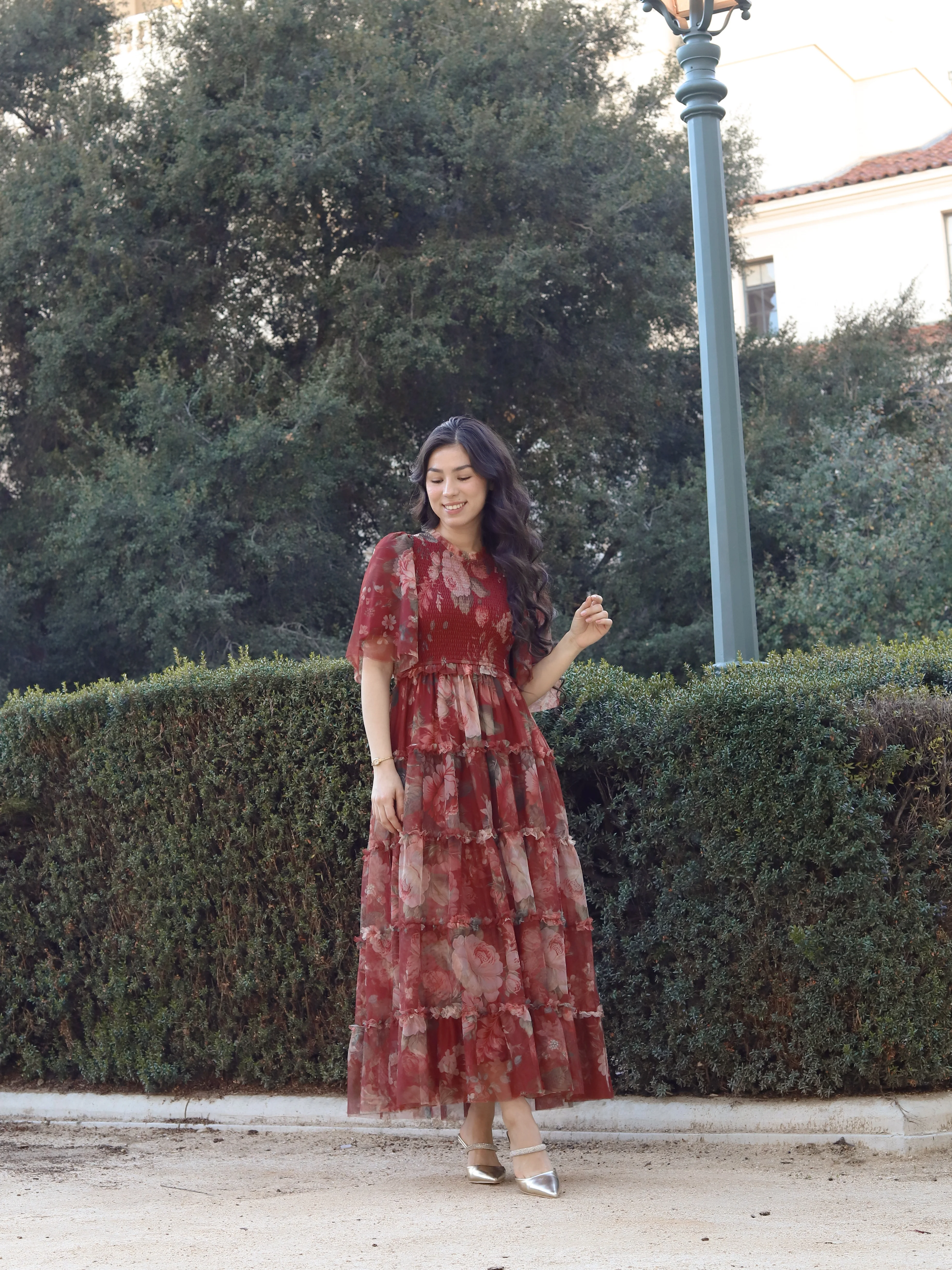 Vintage Romance Dress - Crimson Rose - Image 5